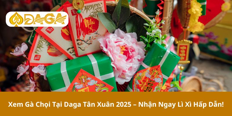 Xem gà chọi tại Daga tân xuân 2025